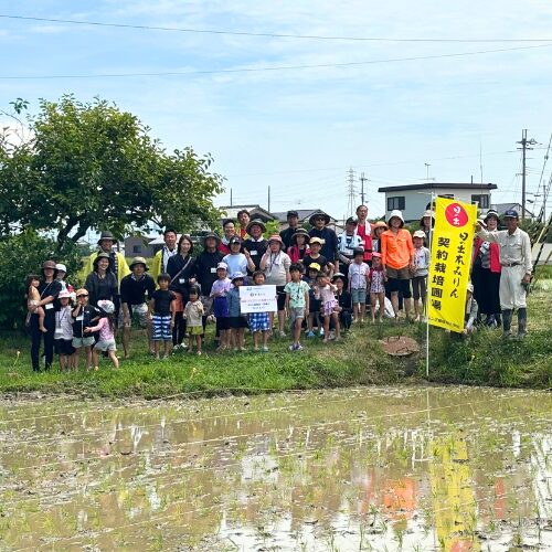 【2024年夏】親子でもち米づくり体験イベントレポート